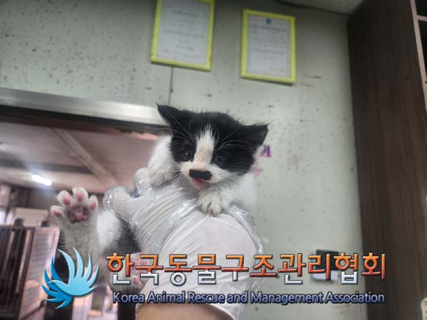 한국동물구조관리협회_441409202401688